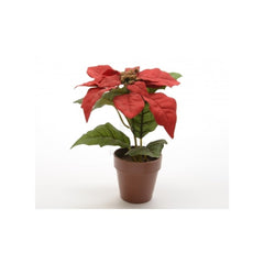Decoris Poinsettia in Pot 30cm - Red