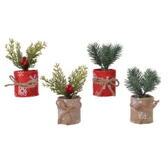 Decoris Spray Frost in Pot 13cm - 4 Assorted