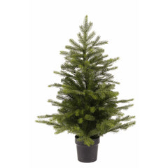 Everlands Grandis Mini Tree in Pot 45cm