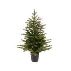Everlands Grandis Mini Tree in Pot 75cm