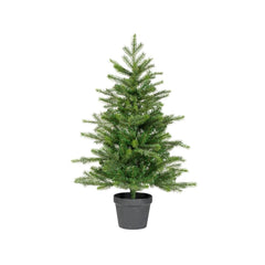 Everlands Grandis Mini Tree in Pot 90cm