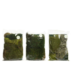 Decoris Natural Moss 18 x 22cm - 3 Assorted