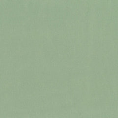 Moon Foldable Chair Cactus Green