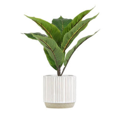 Homla Semela Artificial Flower Green 36 cm