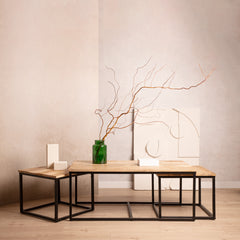 Homla Coffee Table Set Maya Solid Mango Wood + Metal 110X60X45 Cm/50X50X40Cm