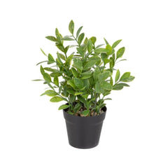 Homla Artificial Donate Plant Artificial     23 Cm