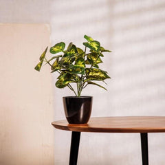 Homla Artificial Plant Edera In Pot 28 Cm