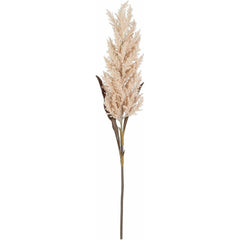 Mica Decorations Pampas Grass Peach - L88cm