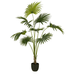 Mica Decorations Fan Palm In Pot Green - H160 x D115cm