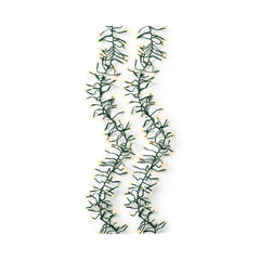 Lumineo Cluster Twinkle 3000 Led String Lights 28m - Green/Soft Gold