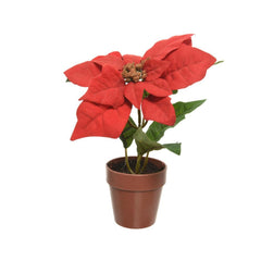 Decoris Poinsettia in Pot 20cm - Red