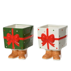 Decoris Dolomite Planter Giftbox with Bow 11.6cm - Green/White (2 Assorted)