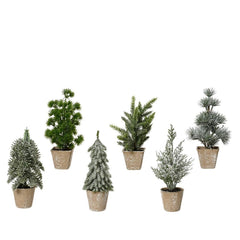 Everlands Mini Tree 20cm - 6 Assorted