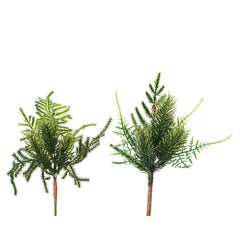 Everland Pick for Indoor 22cm - 2 Assorted