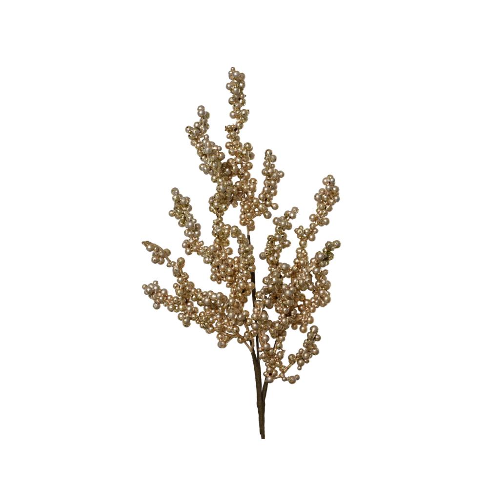 P085258
