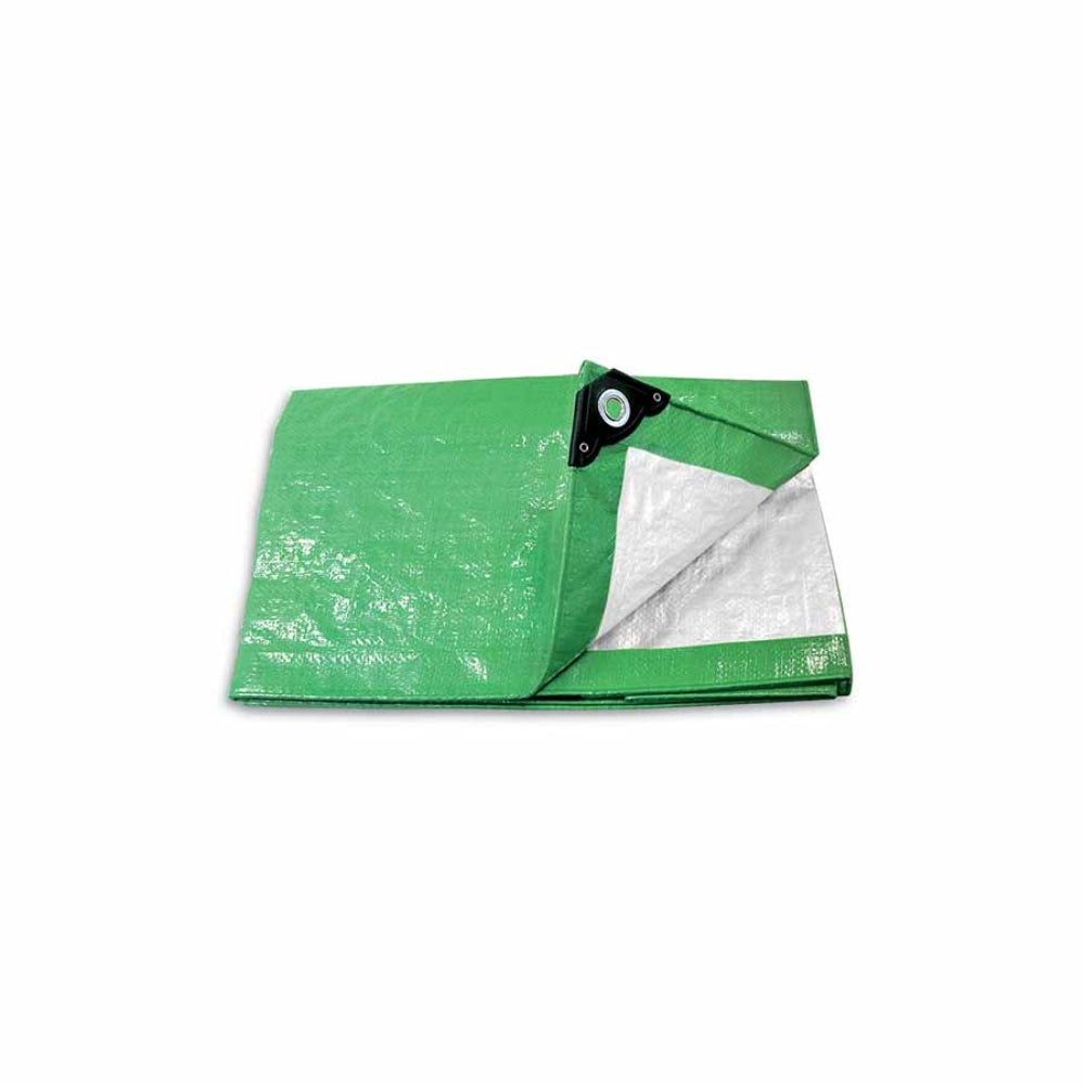 Pretul Tarp 2 x 3m - Green