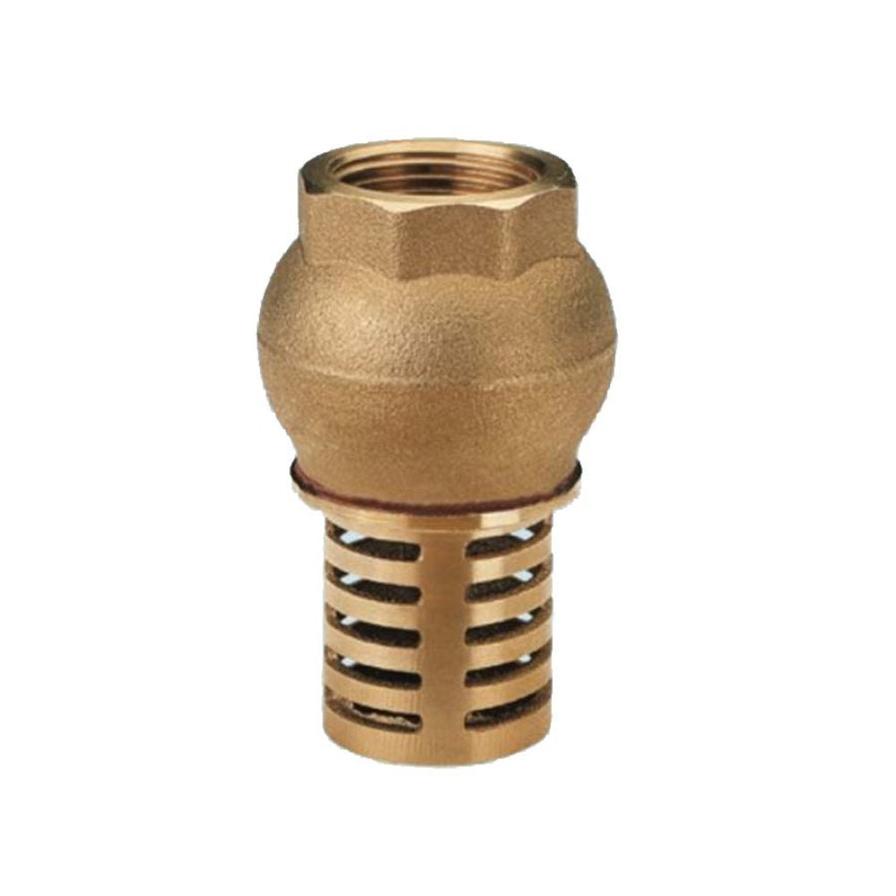 Foot Valve F3/4 Inches