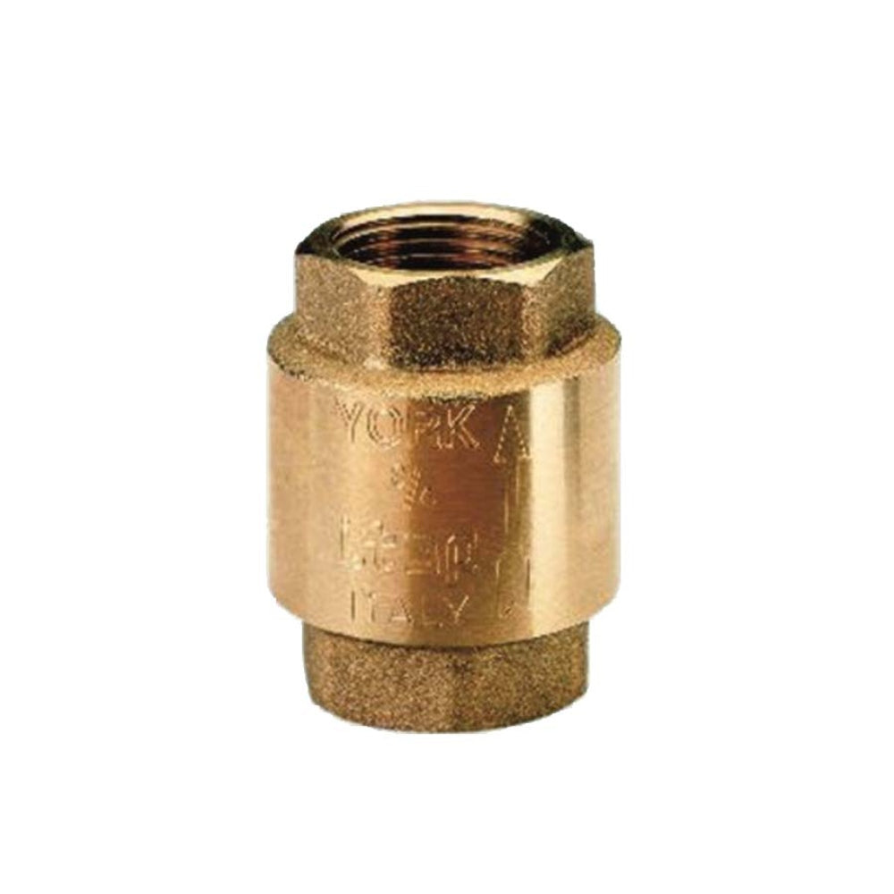 Foot Valve F3/4 Inches