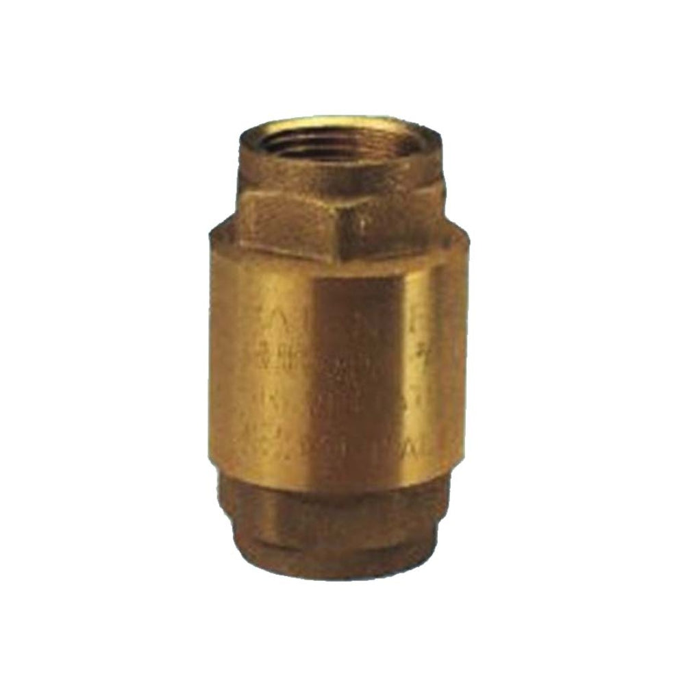 Foot Valve F1/2 Inches