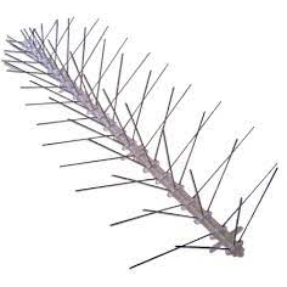 Bird Stainless Steel Spikes