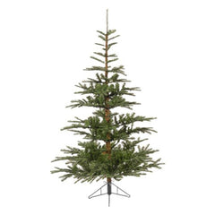 Everlands Nobilis Fir Christmas Tree Dia208cm 3m