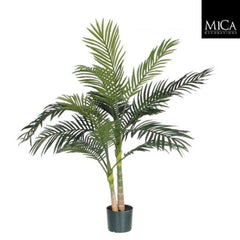 ARECA PALM GREEN - H120XD100CM