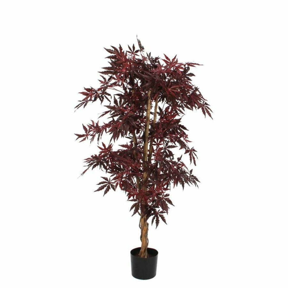 MAPLE RED IN PLASTIC POT - H150XD80CM