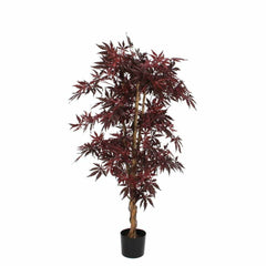 MAPLE RED IN PLASTIC POT - H150XD80CM