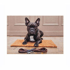 Astra Deco Print Doormat D.102 40 x 60cm - Bulldog