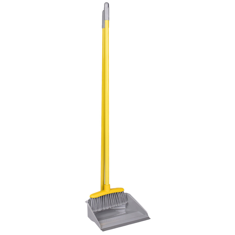 Apex Regina Dustpan and Brush Set