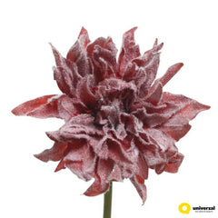 SILK CHRYSANTHEMUM W SNOW FIN RED
