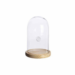 Decoris Glass Dome with Wooden Base