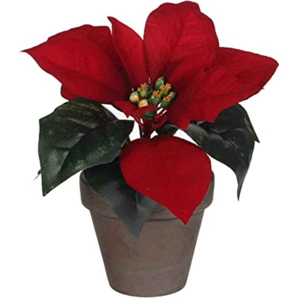 Mica Poinsettia in Pot 25cm - Red