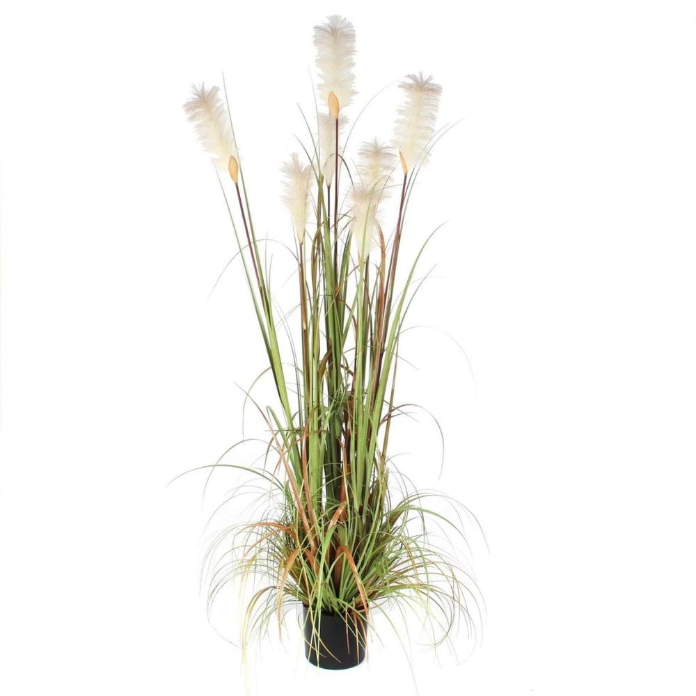PLUME GRASS FOXTAIL WHITE IN POT - H81XD45CM