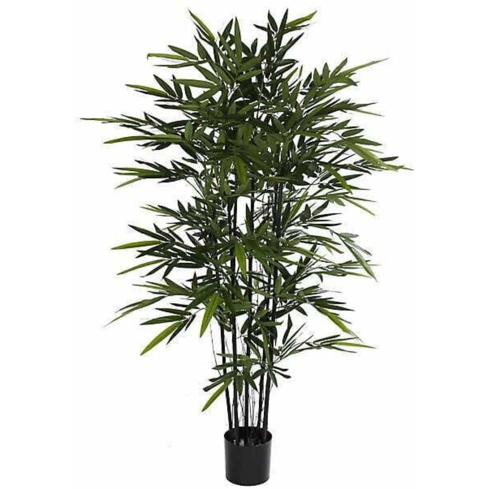 BAMBOO BLACK IN PLASTIC POT - H150XD75CM