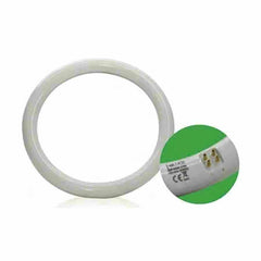 Luce Led Circular Tube 6500K 15W G10Q