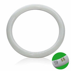 Luce Led Circular Tube 6500K 20W G10Q