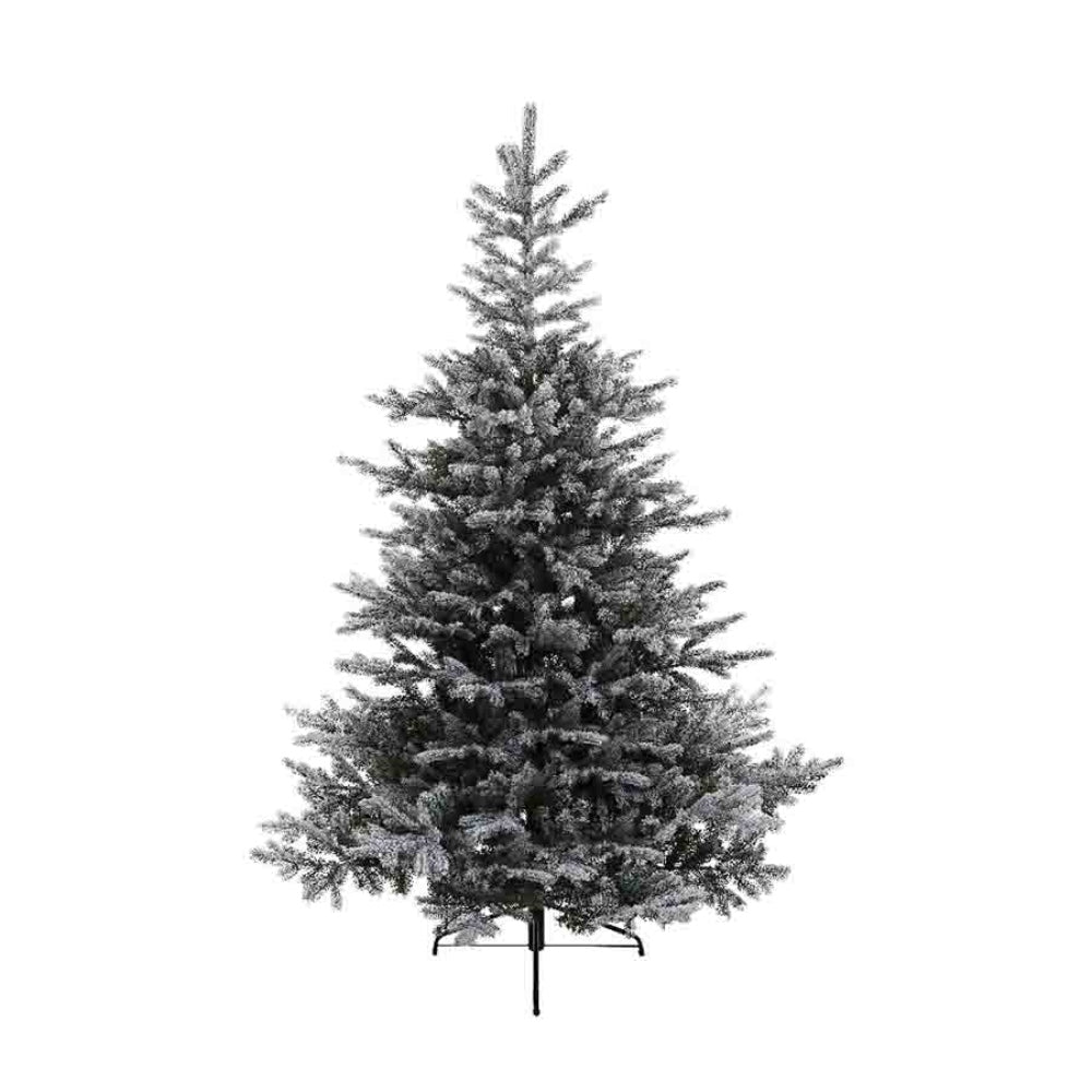 Everlands Snowy Grandis Fir Christmas Tree Dia162cm 2.4m