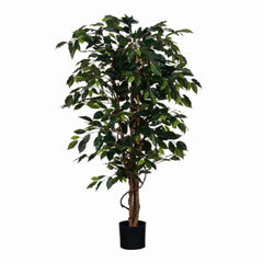 Mica Decorations Ficus Green in Plastic Pot - H150 x D85cm