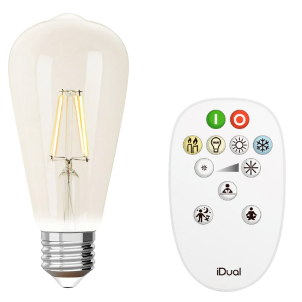 iDual Dimmable Bulb E27 ST64 with Remote Control