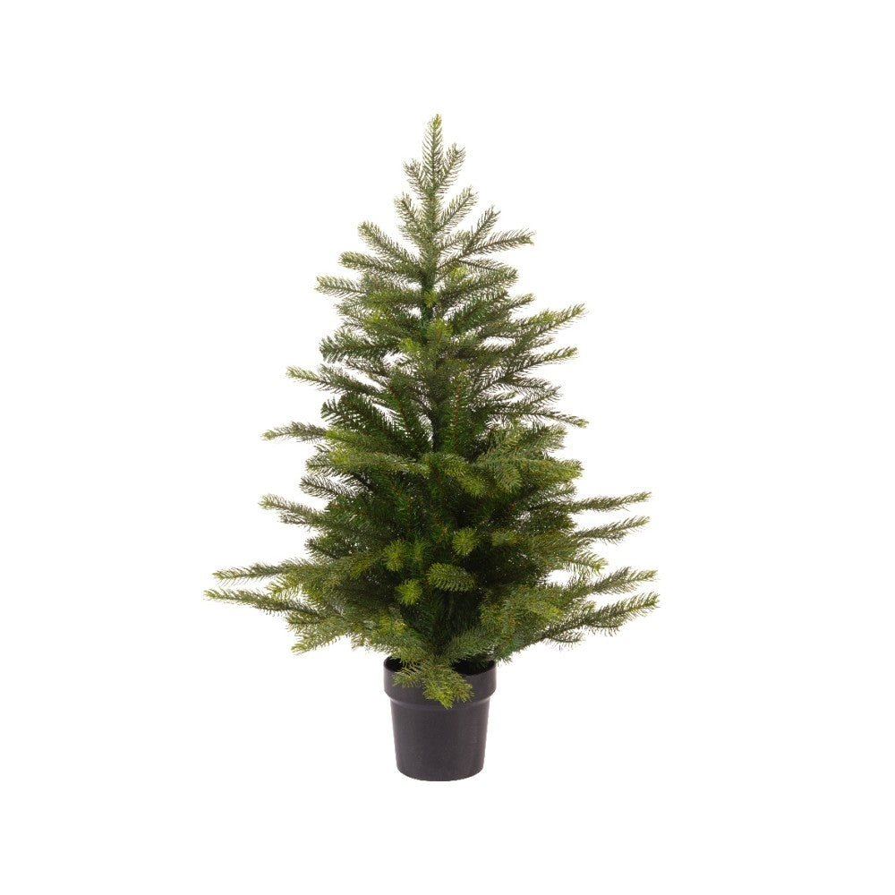 Everlands Grandis Mini Tree in Pot 75cm
