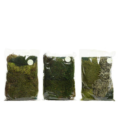 Decoris Natural Moss 18 x 22cm - 3 Assorted