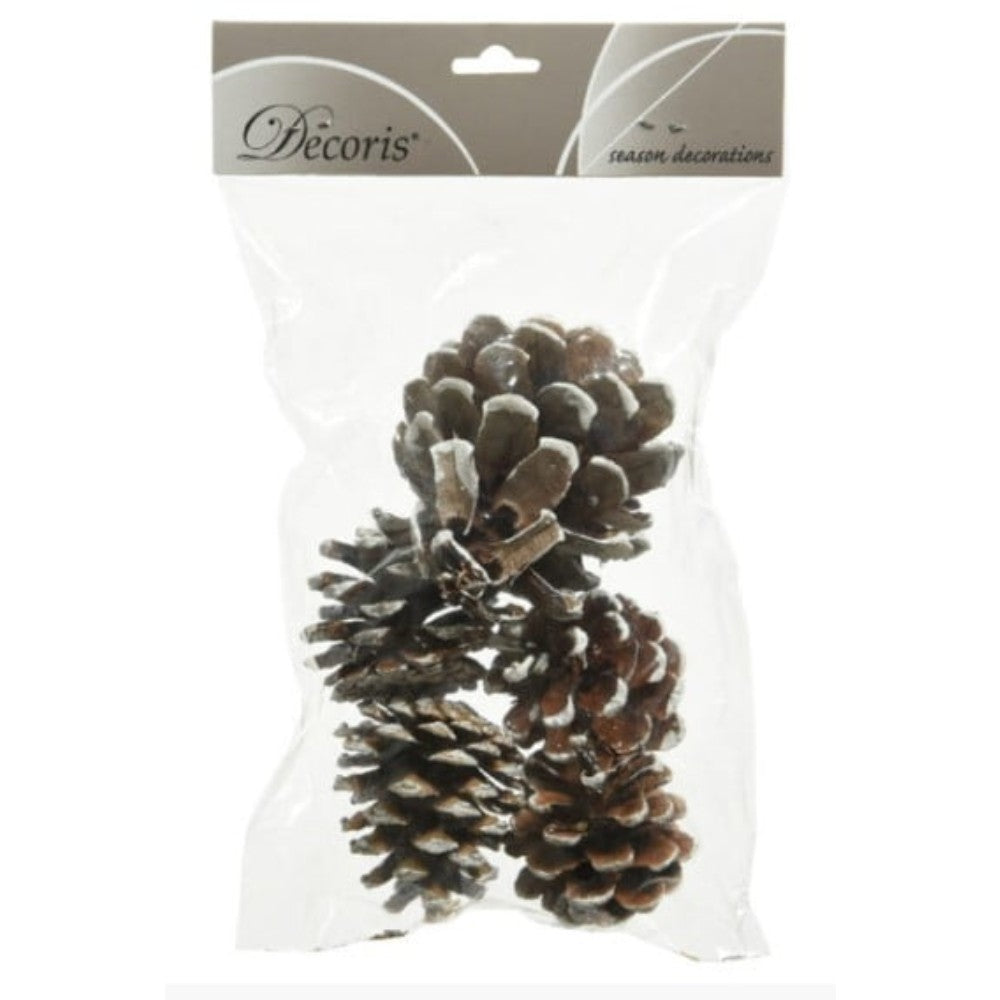 Decoris Decorative Pinecone Set of 5 Pieces with White Tips 15 x 15cm