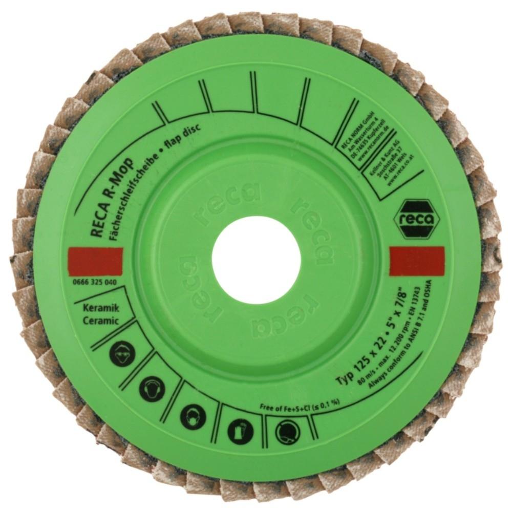 Reca Clean-Mop Flap Wheel Cleaning Disc 12.5cm