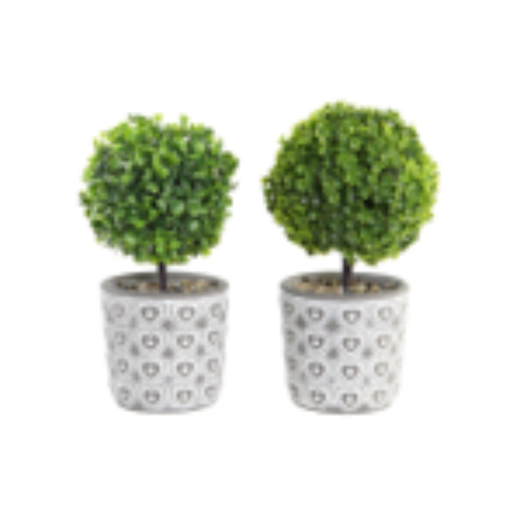 iDecor Artificial Plant with Resin Pot 10.5 x 10.5 x 25cm - 2 Assorted