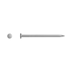 Standers Flat Head Nail Polished Steel 3.1 X 70Mm - 20 Pieces