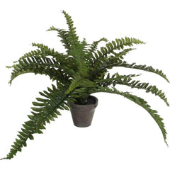 Mica Decorations Artificial Boston Fern Grey - d11,5cm - h35xd45cm,