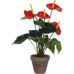 Mica Decorations Artificial Anthurium Plant Red -  h40xd30cm,