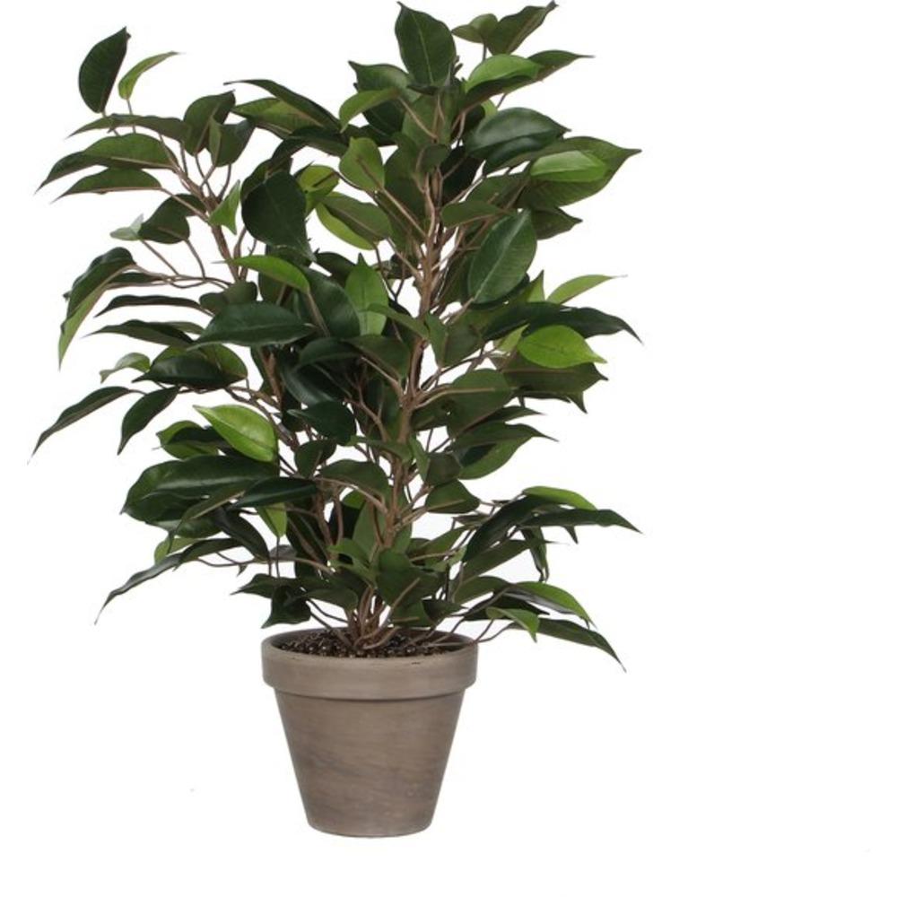 Mica Decorations Artificial Ficus Natasja Plant d11,5cm - h40xd30cm,