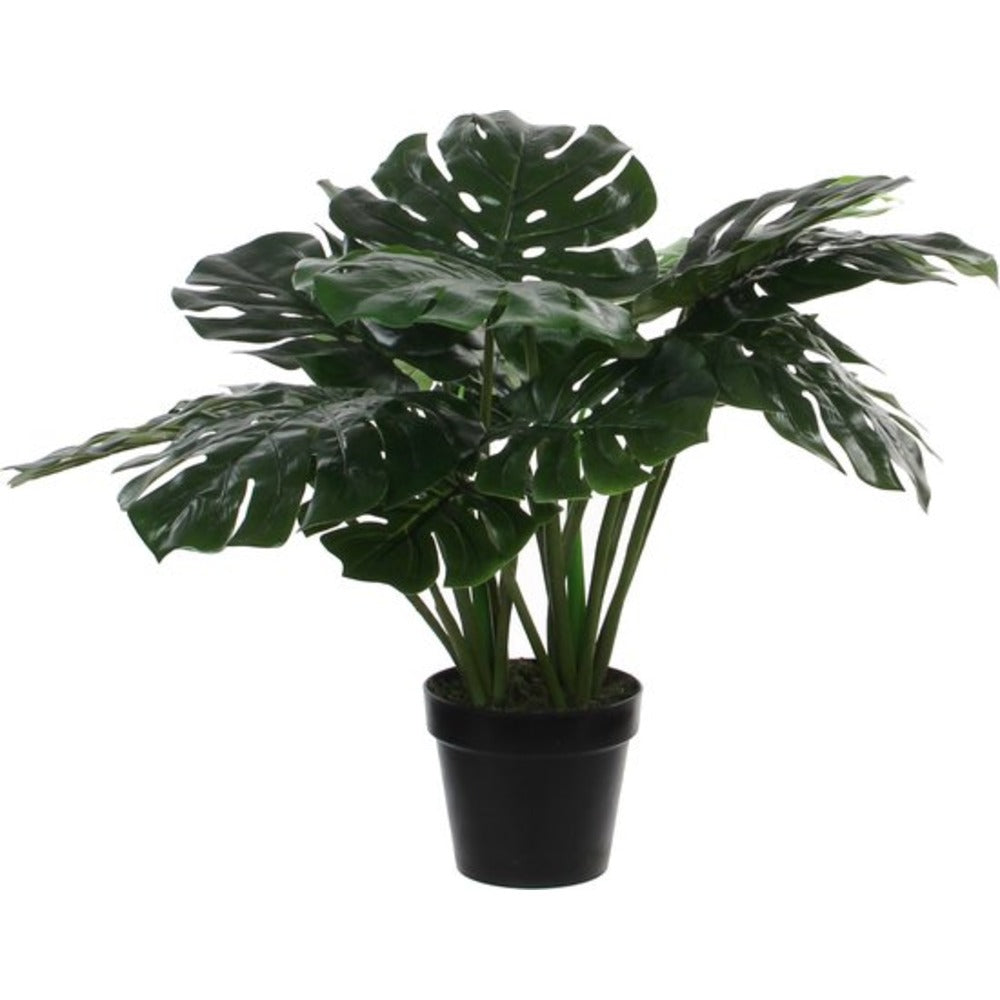 Mica Decorations Monstera Artificial Plant - h60xd80cm,